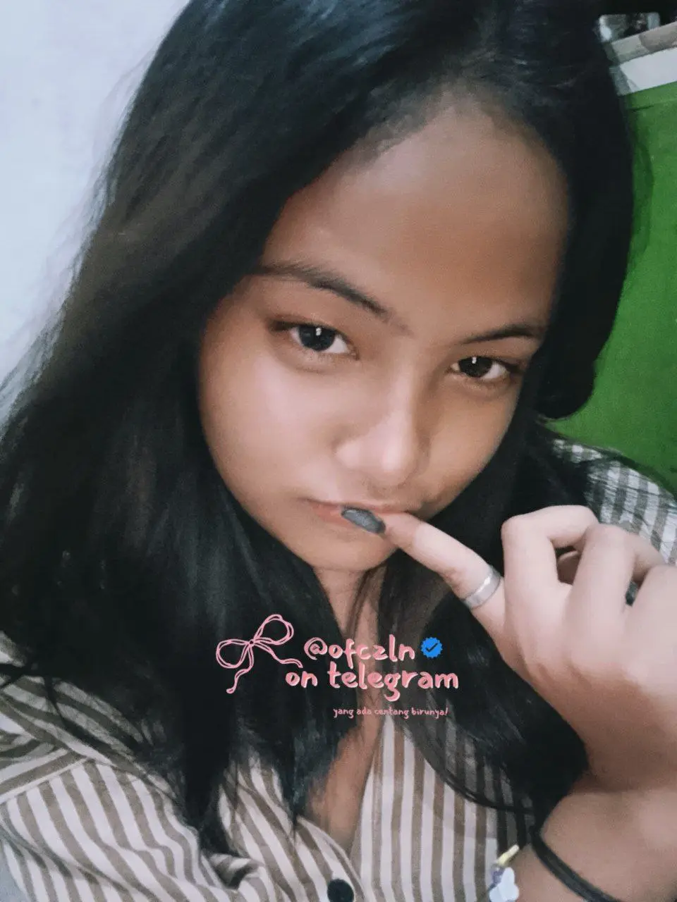 zlf1.webp