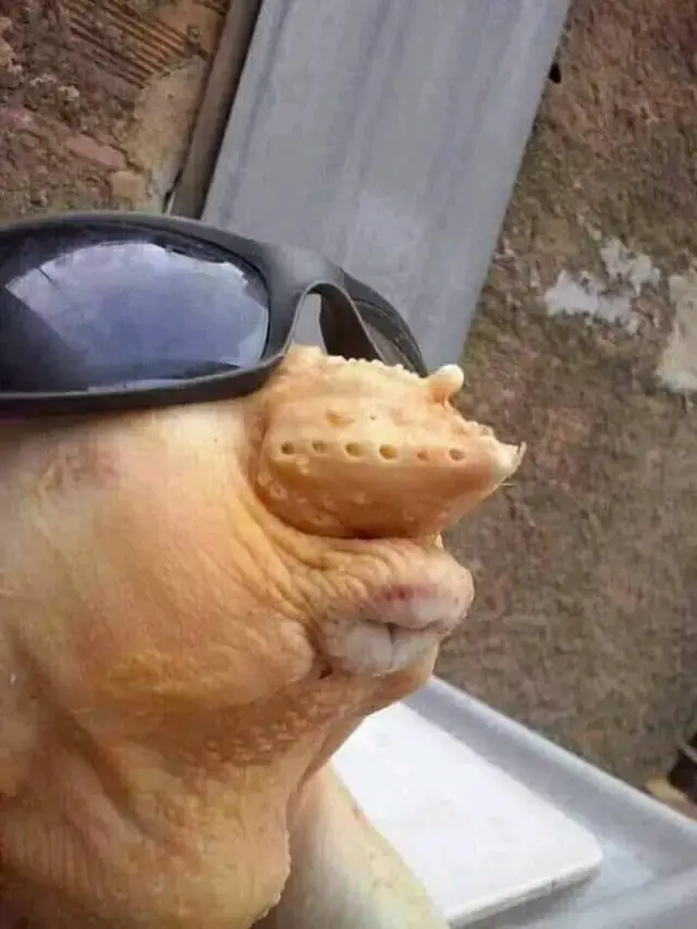 Fingerella w/ glasses [Rekta]