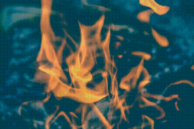 1000008297.gif