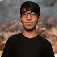200.gif