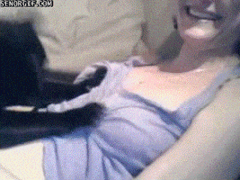 200.gif
