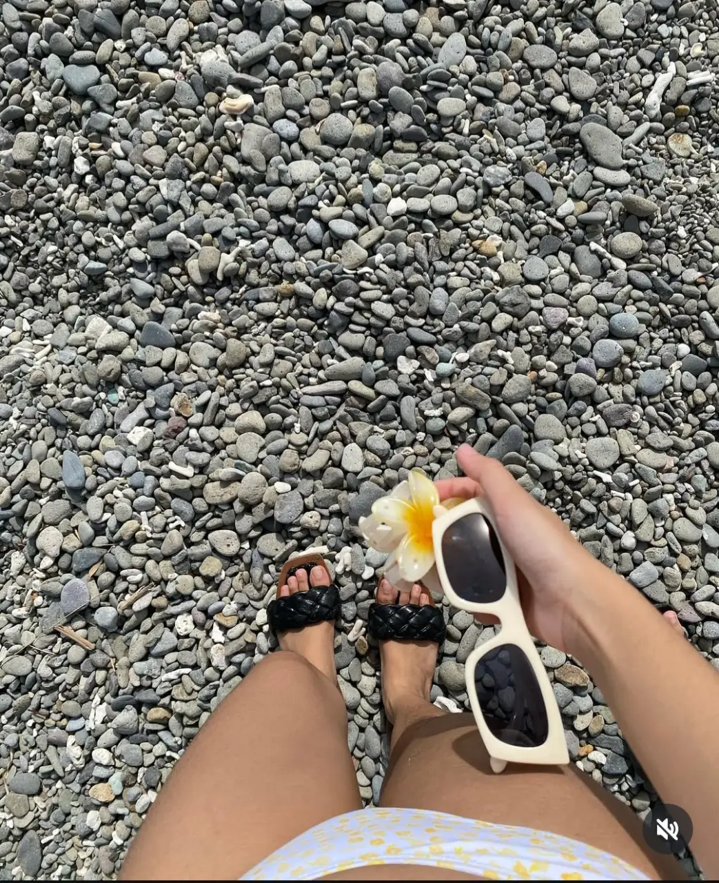 3855606