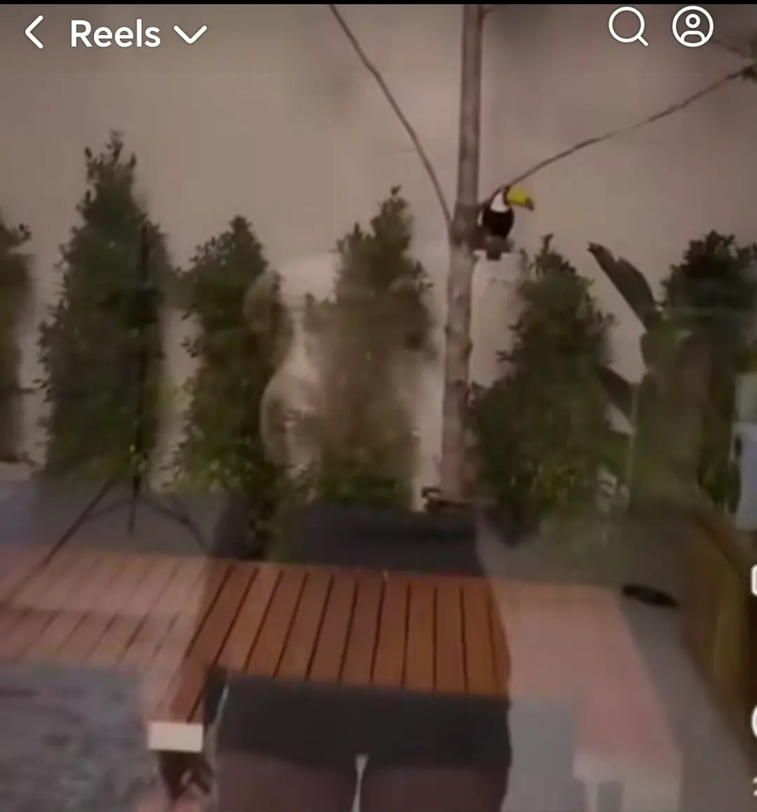 Screenshot_20250913_173656.webp