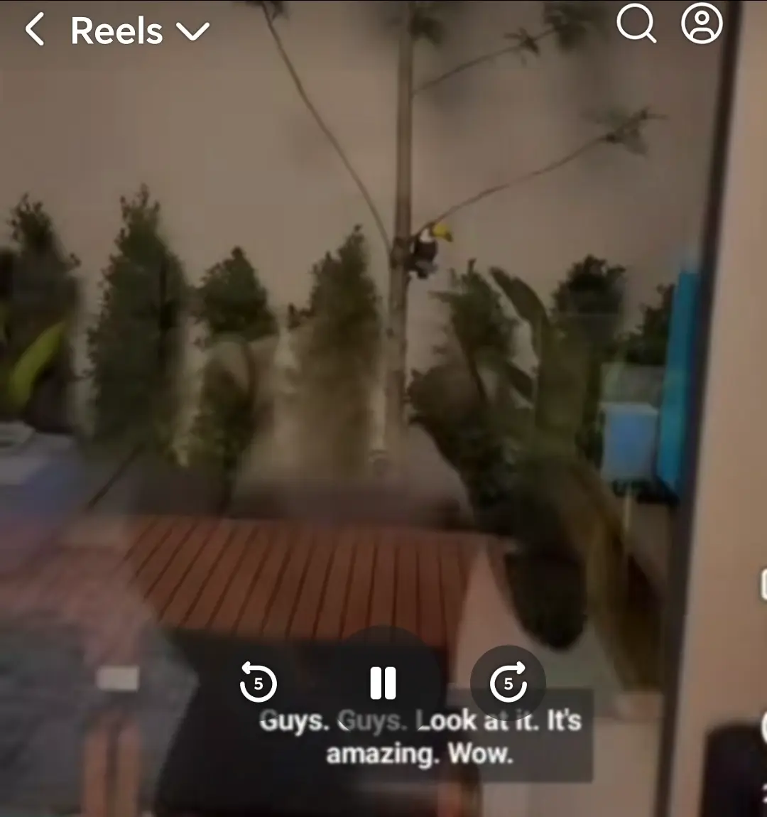 Screenshot_20250913_173714.webp