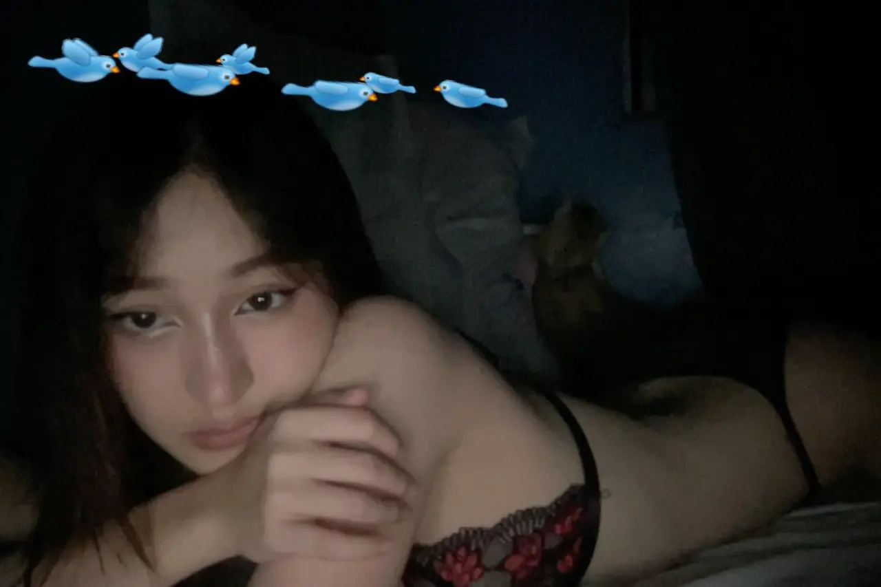 1000002450ff7a643c80ee0084.webp