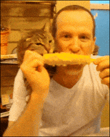 200.gif