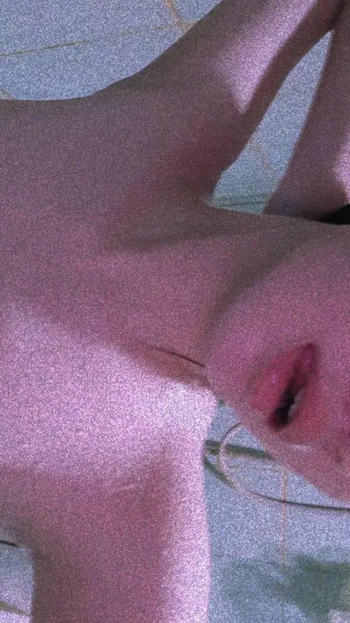 Bambi (3).webp