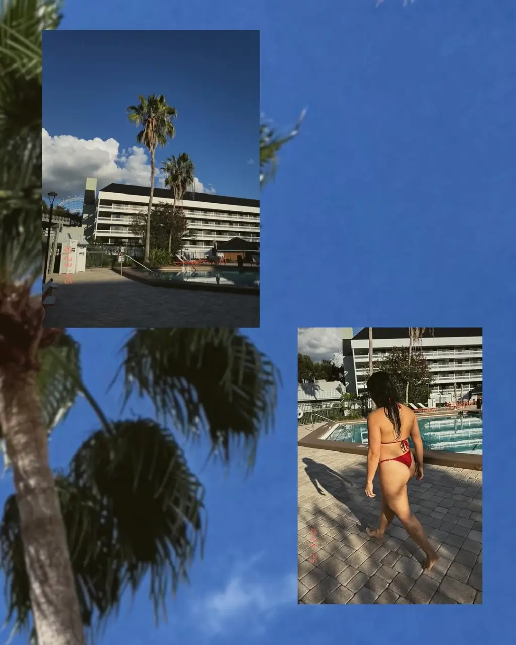 SnapInsta.to_564699543_18531723943033417_8840155277809078009_n.webp