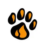 paw.webp