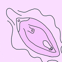 200.gif