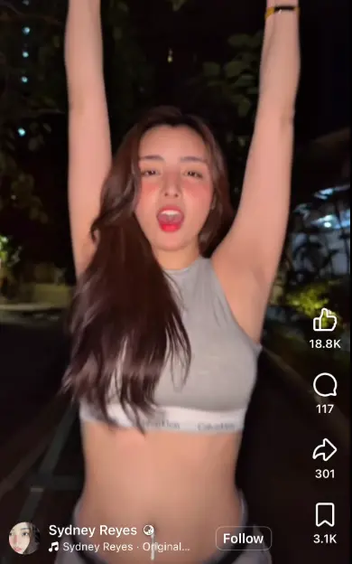 1763609236964.webp