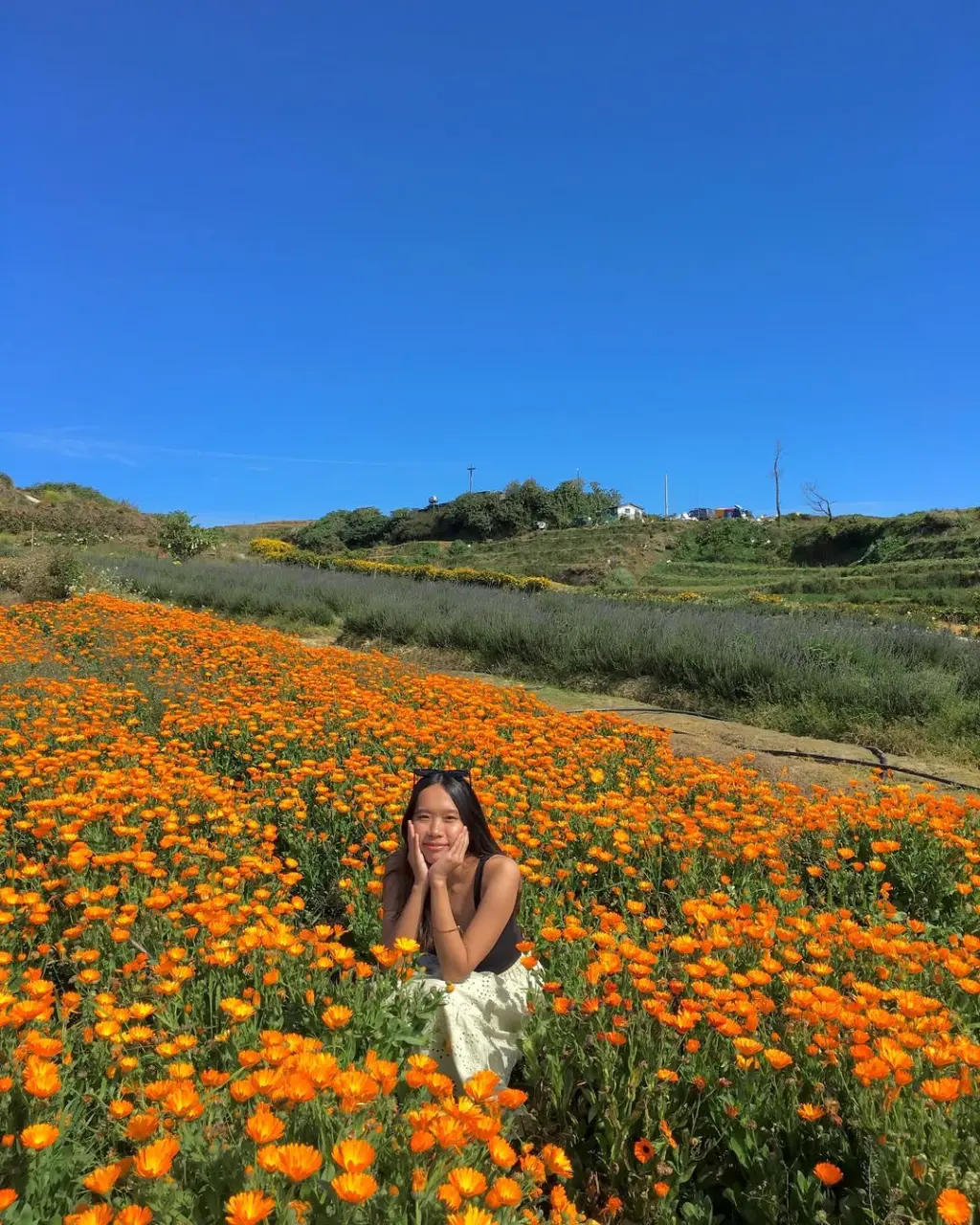 SnapInsta.to_325603204_736844894303747_2717852410353703883_n.webp
