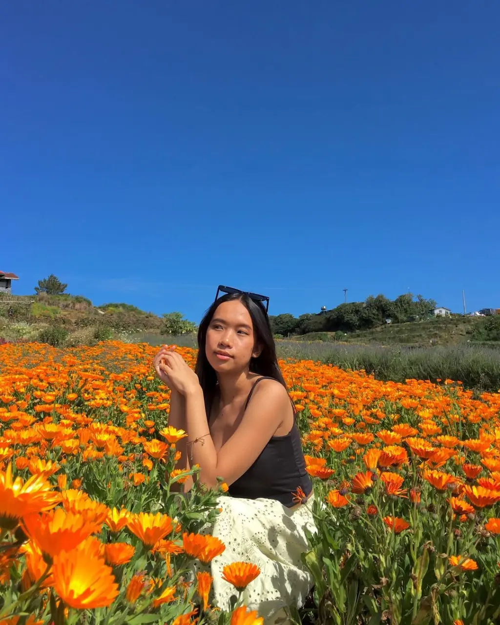 SnapInsta.to_325469183_510843940918647_6598846367676430828_n.webp