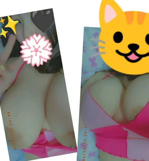 amateur-f-meow-LB3C2N.webp