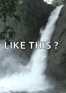 beauty-aww.gif