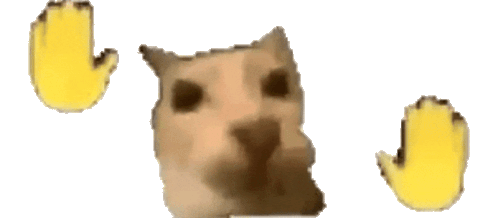 IMG_4989.gif