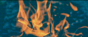 3895a83b4bbe4d8885f66fd01823a5fb.gif