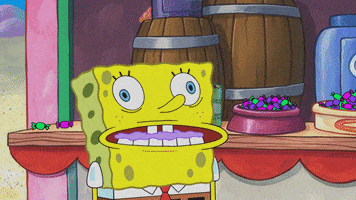 204b GIF by SpongeBob SquarePants