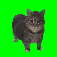 Phoeyuibe 3gb OF leaks