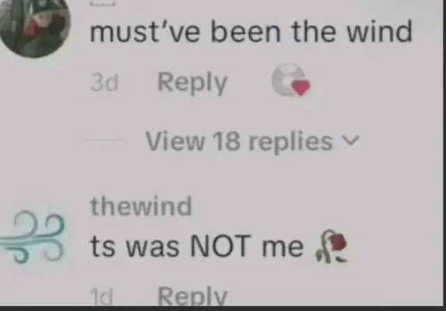 mustve-been-the-wind-v0-pqgl98g829uf1.webp