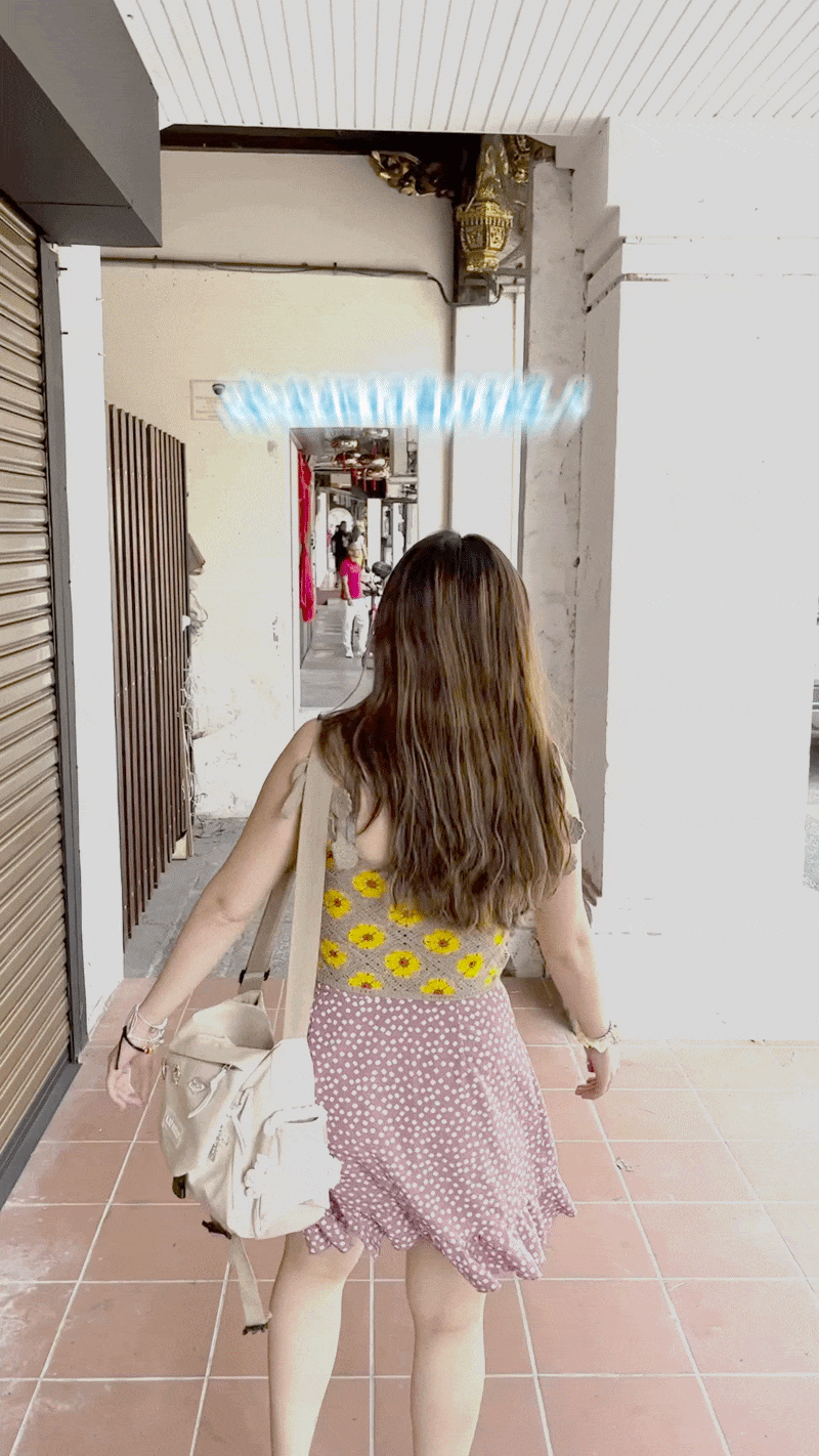 intro1.gif