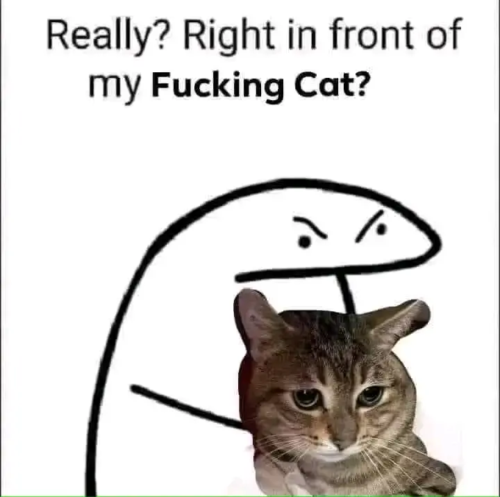 1746022194664.webp