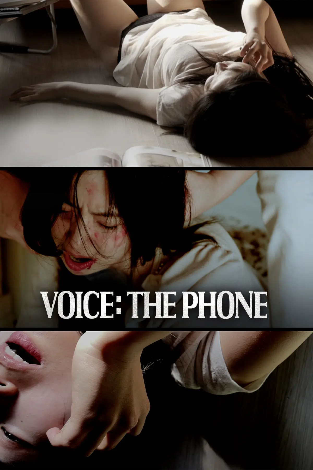 T01018_KA_MAIN_VERT_FM_VOICE_THE_PHONE.ori.webp