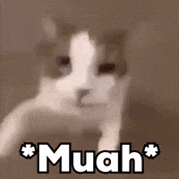Kisses Love GIF