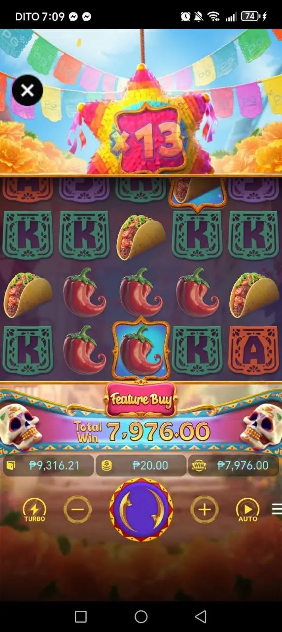 1000000853.webp