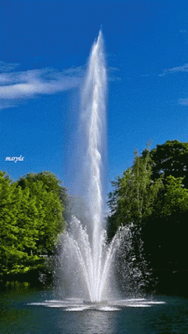 5706.gif