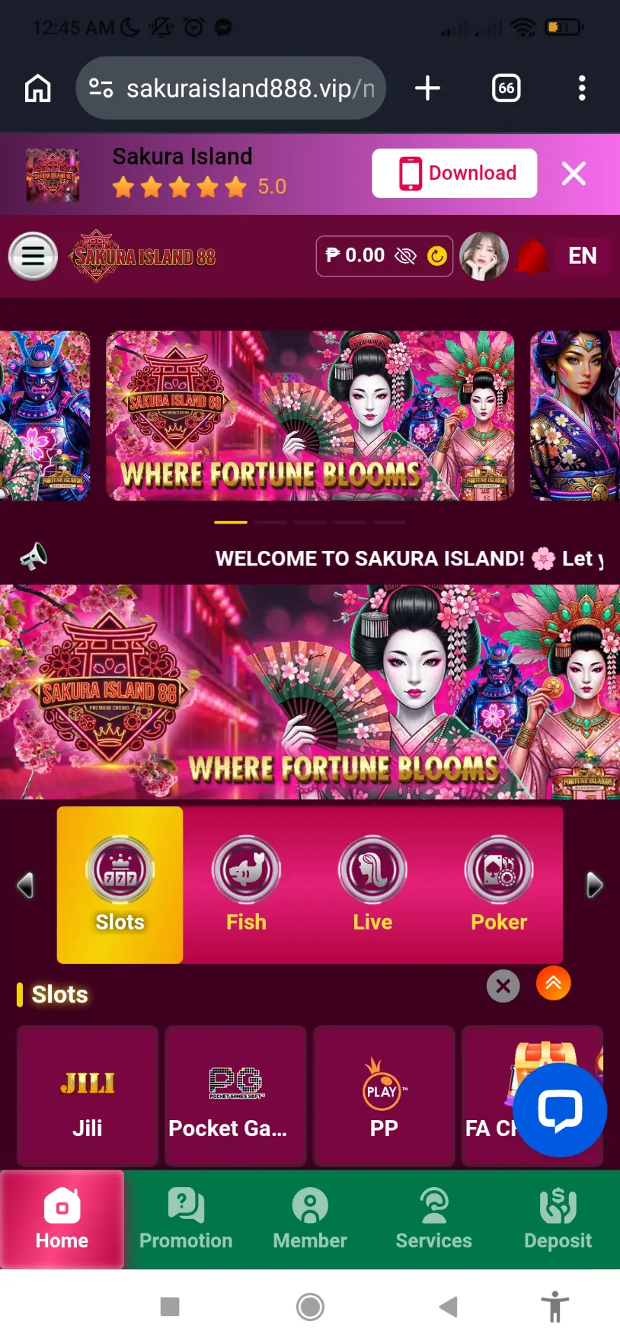 Screenshot_2026-03-19-00-45-12-825_com.android.chrome.webp