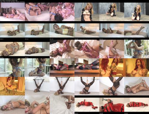 708202849_babes_in_bondage.jpg