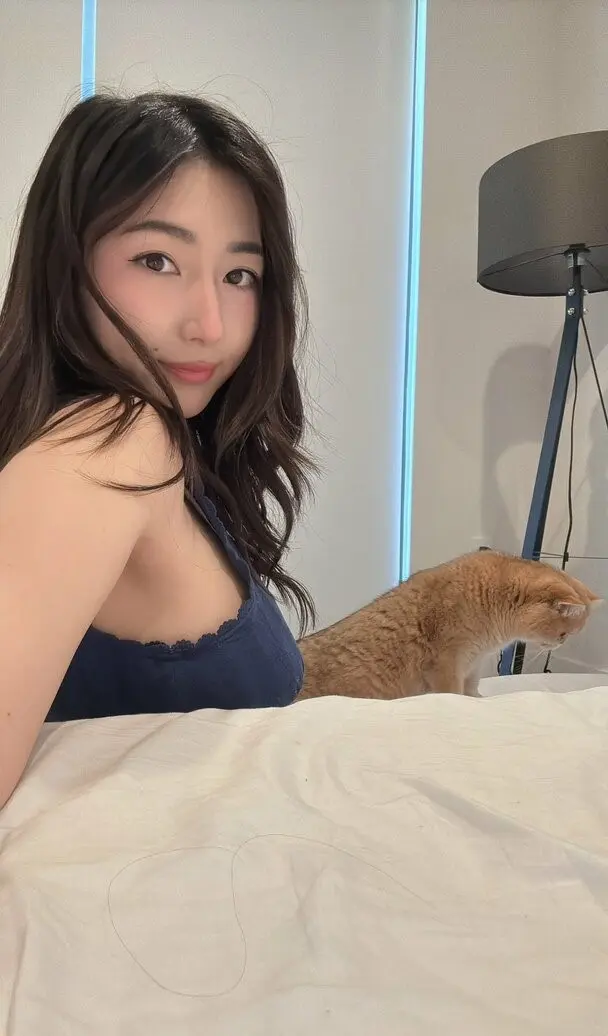 xchocobars_0677.webp