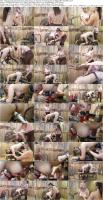 710118434_hucows-26-03-28-denise-and-sam-lee-farmer-training-xxx-1080p-mp4-fetish_s.jpg