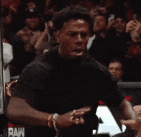 Wwe Im Sorry GIF