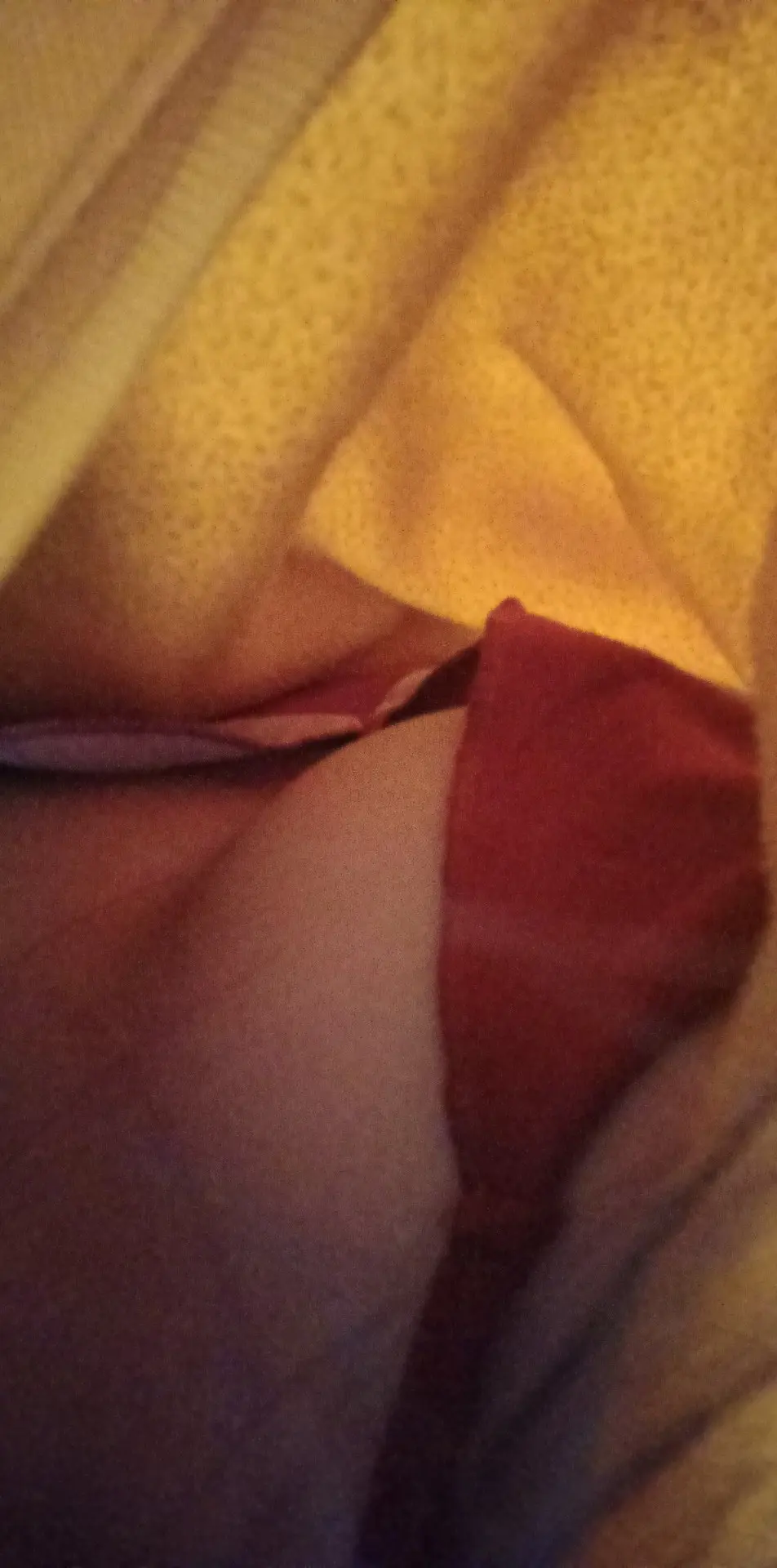 3477.webp