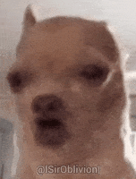 Singing Dog GIF