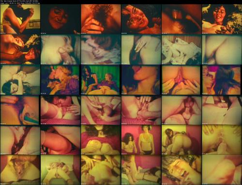 665678787_sex_crazed_sluts_of_the_60s.jpg