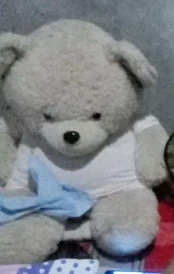 teddy.webp