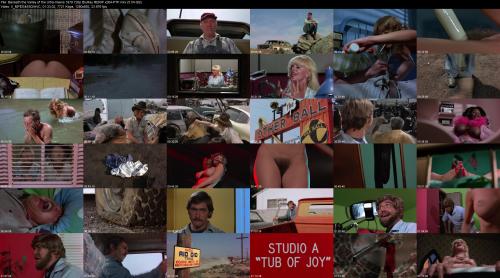 664997703_beneath-the-valley-of-the-ultra-vixens-1979-720p-bluray-rerip-x264-ptp.jpg