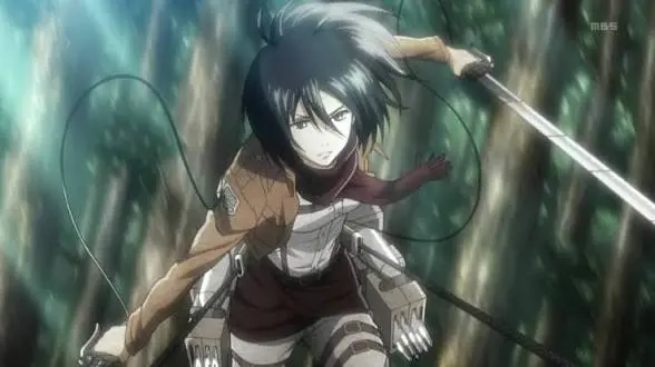 Mikasa ackerman (AoT)