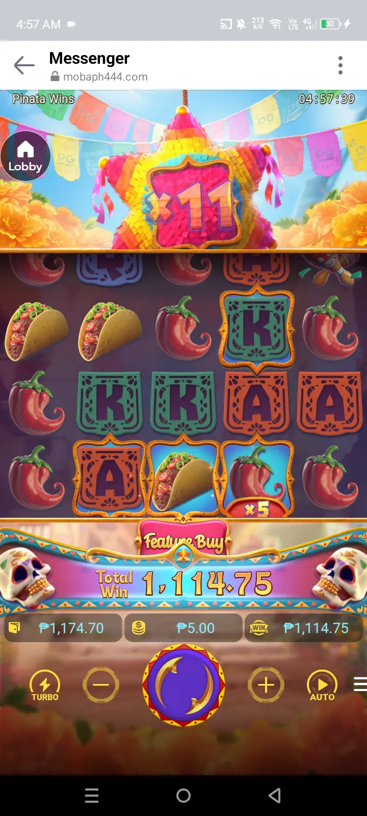 1000010179.webp