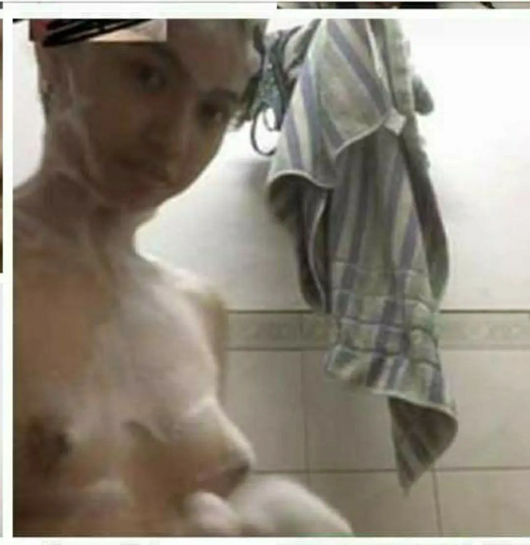 6091163572156613647.webp