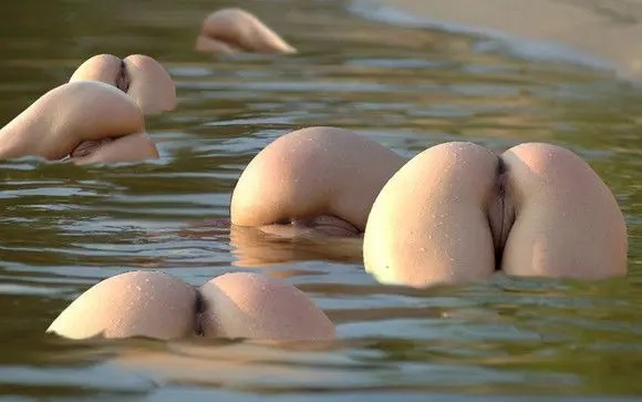 716661.webp