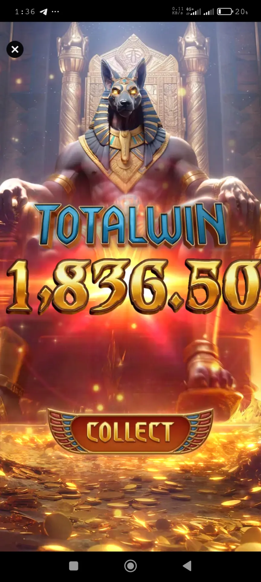 1000124514.webp