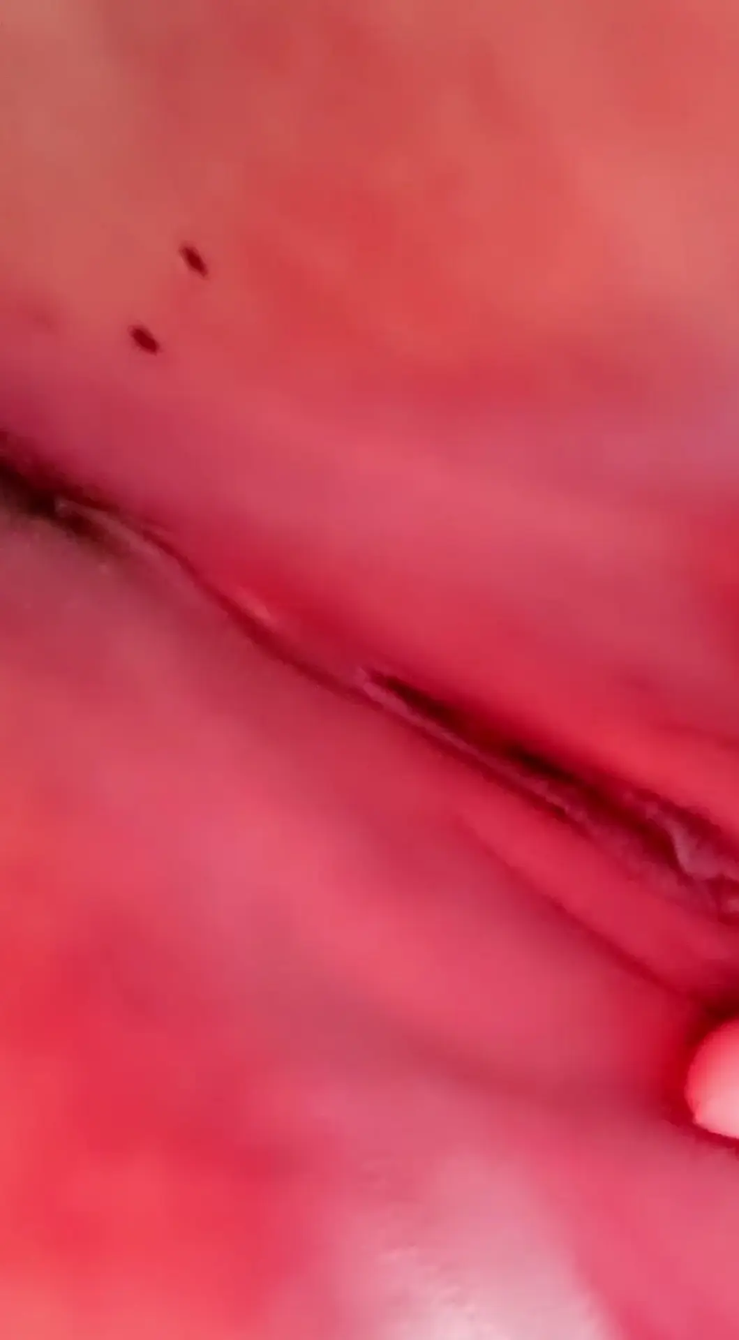 Screenshot_20260516_231309~2.webp