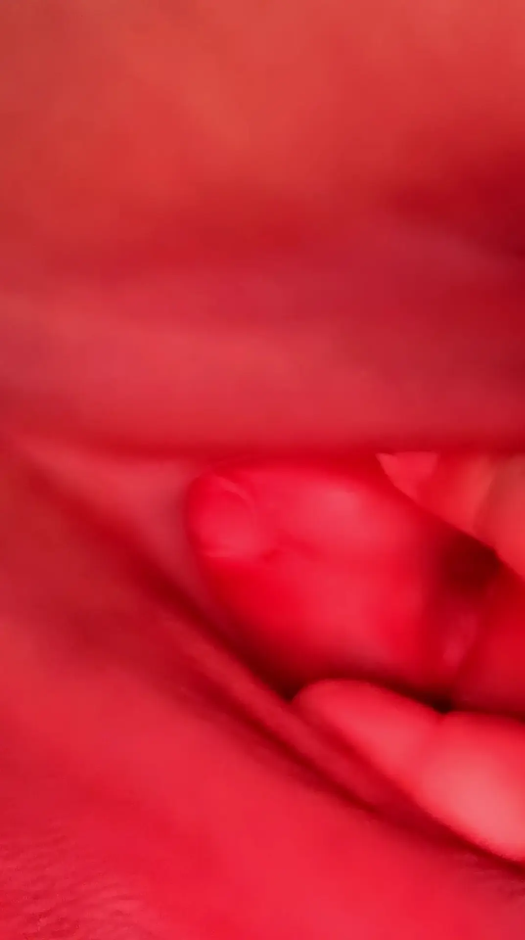Screenshot_20260516_231500~2.webp