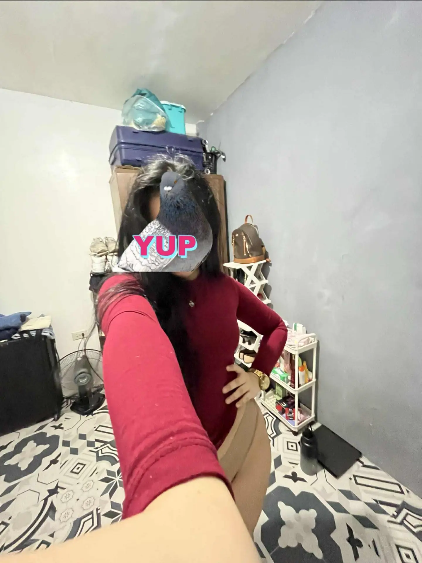 Messenger_creation_092A09AA-DA97-4514-8DE5-183F7CCA3B3F.webp