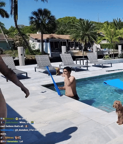 Fanfan - Swimming stream
