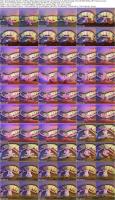 728076762_vrcosplayx-26-05-14-silvia-wise-beyond-journeys-end-frieren-a-xxx-parody-xxx-vr1.jpg